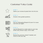 Customer Voice Genie